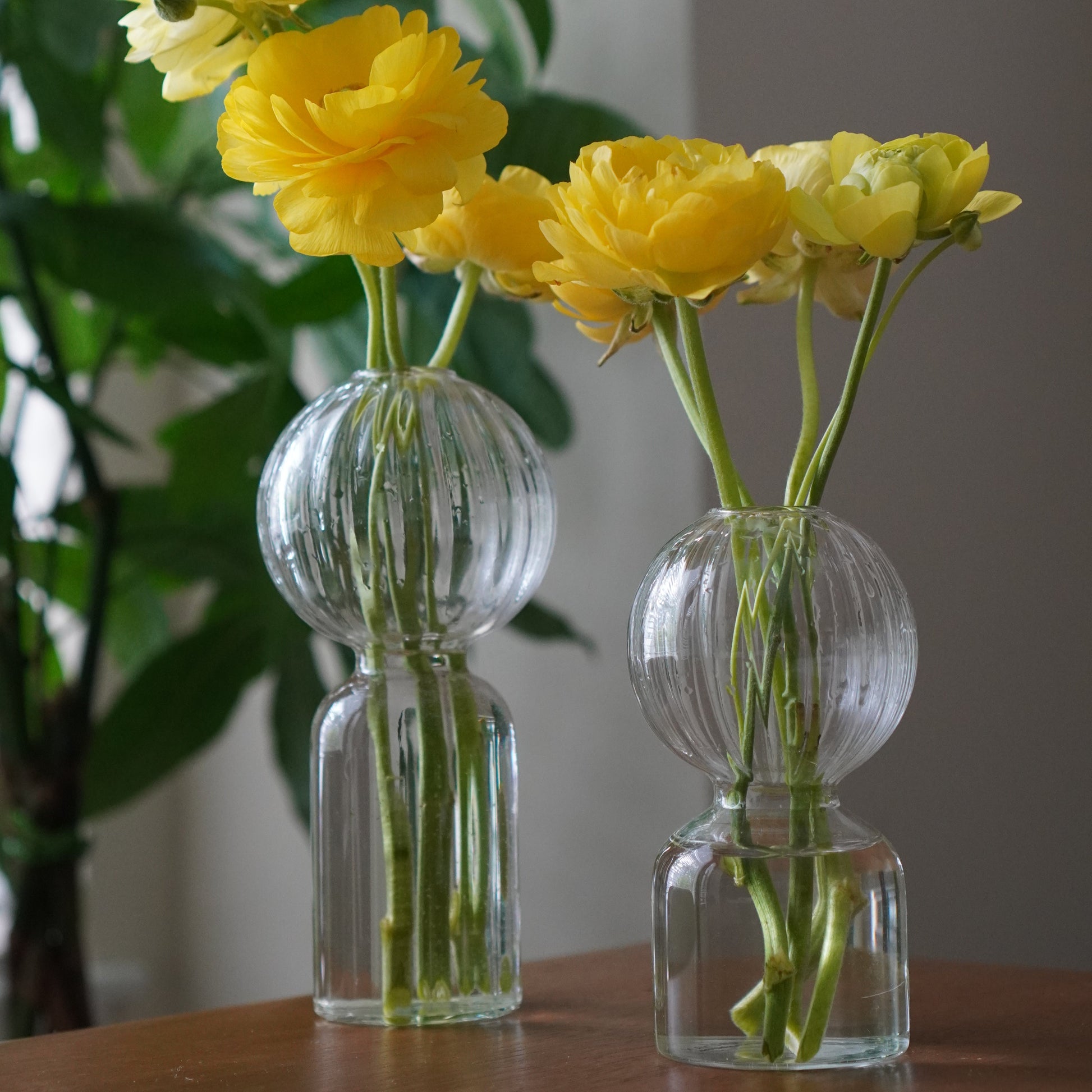 Ritz Single Stem Glass Vase - Clear - Vases by Carlyle Avenue