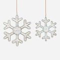 Multicolor Lit Snowflake w/Adapter, Set of 2