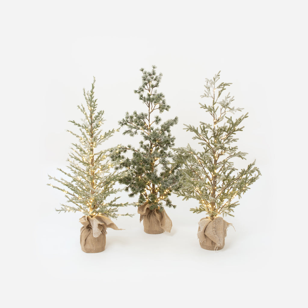 Lighted Tree with Burlap Base, Small, Set of 3