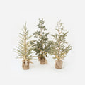 Lighted Tree with Burlap Base, Small, Set of 3