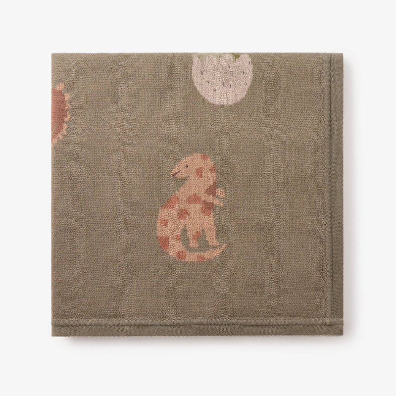 Dinosaur Family Knit Baby Blanket
