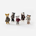 Cashmere Cat Ornament, Set of 5 Assorted