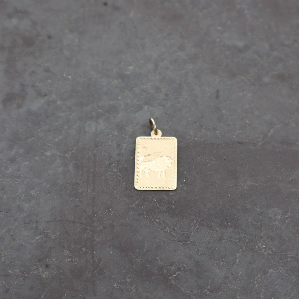 14k Leo Starburst Tarot Pendant - Jewelry by Carlyle Avenue