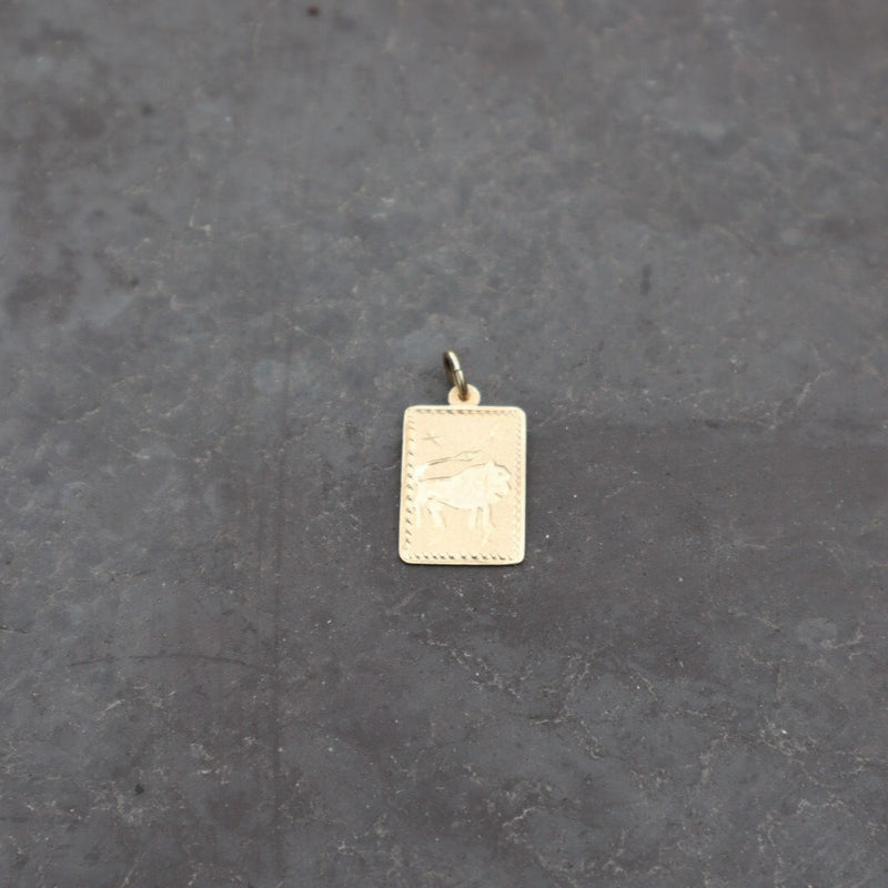 14k Leo Starburst Tarot Pendant - Jewelry by Carlyle Avenue