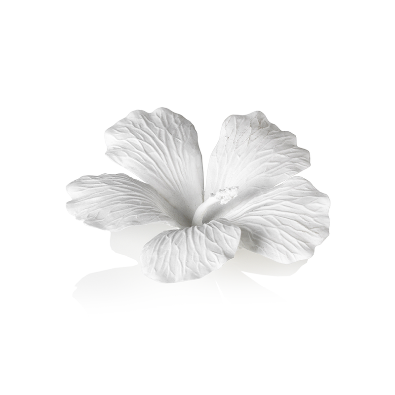 White Bone China Hibiscus Flower Wall & Table Décor - Set of 3