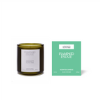 Ancient Agrigento Olive Tree Candle - Home Fragrance by Carlyle Avenue