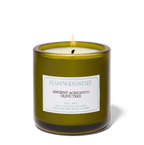 Ancient Agrigento Olive Tree Candle - Home Fragrance by Carlyle Avenue