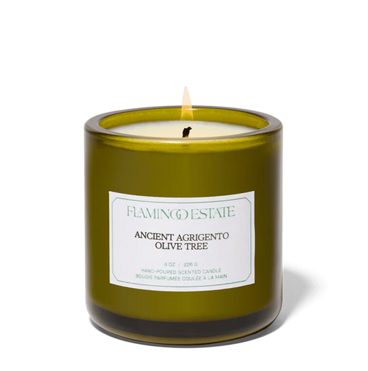 Ancient Agrigento Olive Tree Candle - Home Fragrance by Carlyle Avenue