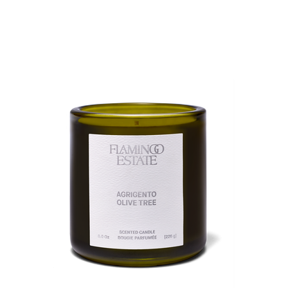 Ancient Agrigento Olive Tree Candle - CARLYLE AVENUE