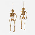 Skeleton