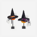 Shaggy Witch Hat, Set of 2 Assorted