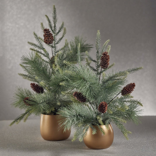 Noble Fir Tree in Gold Ceramic Pot