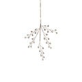 Beaded Glass Berry Pick - Clear and Gold - Holiday Decor by Carlyle Avenue