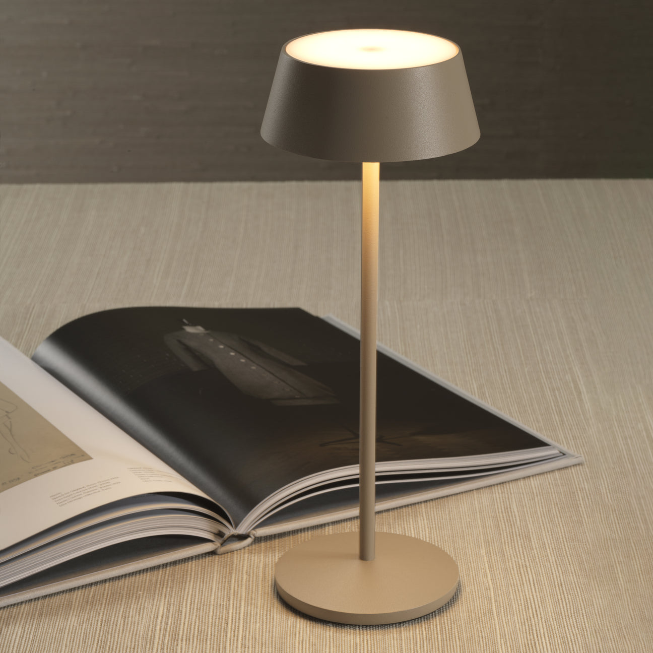 ANDRIA Rechargeable Table Light - Light Taupe -  by Carlyle Avenue
