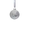Metallic Glass Ball Ornament - Shiny Silver