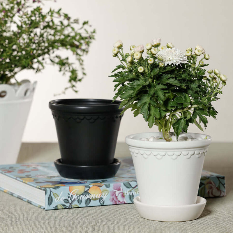 San Ysidro Flower Pot with Saucer - Planter by Carlyle Avenue