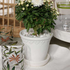 San Ysidro Flower Pot with Saucer - Planter by Carlyle Avenue