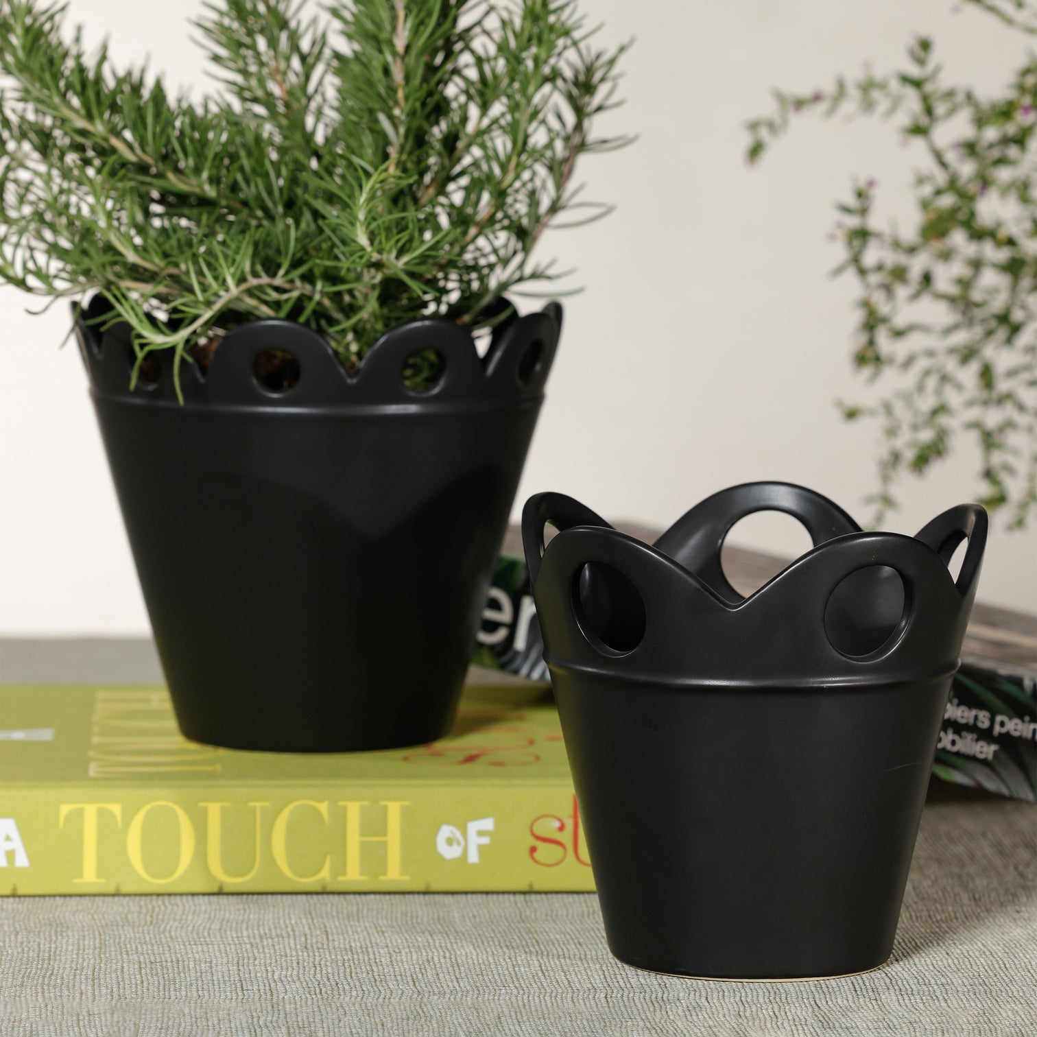 Petal Rim Flower Pot - Pots & Planters by Carlyle Avenue