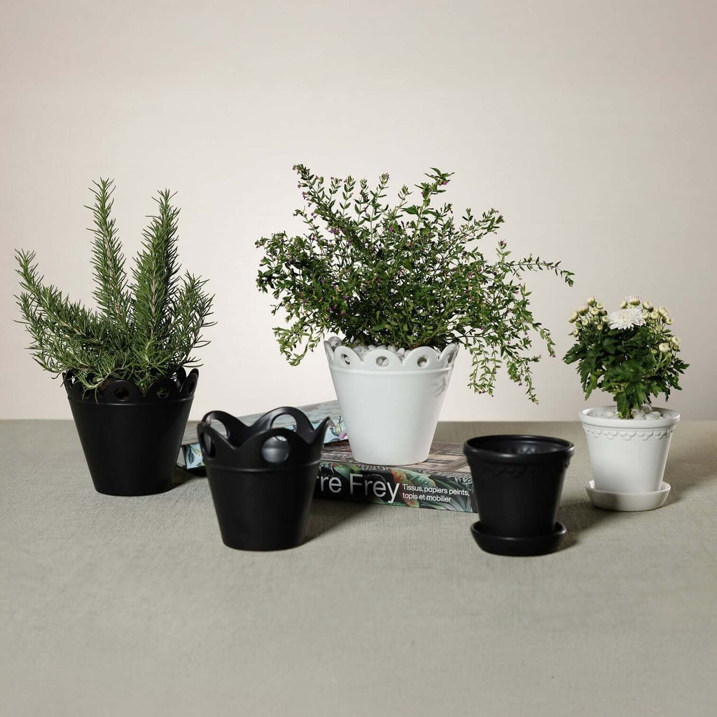 Petal Rim Flower Pot - Pots & Planters by Carlyle Avenue