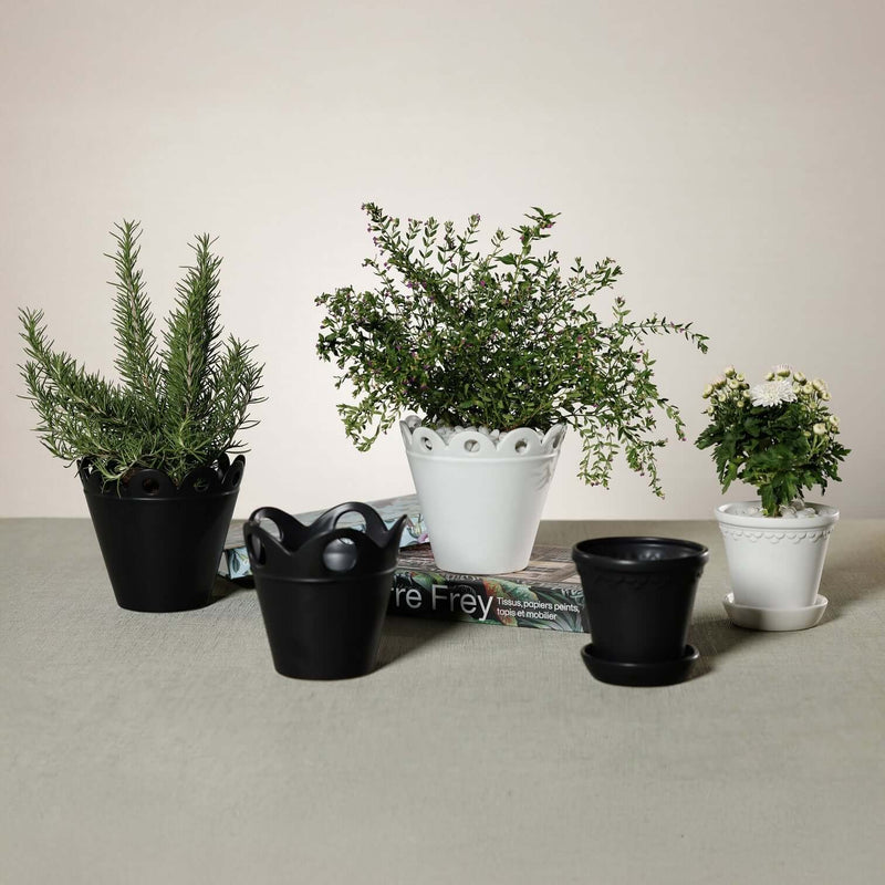 Petal Rim Flower Pot - Pots & Planters by Carlyle Avenue