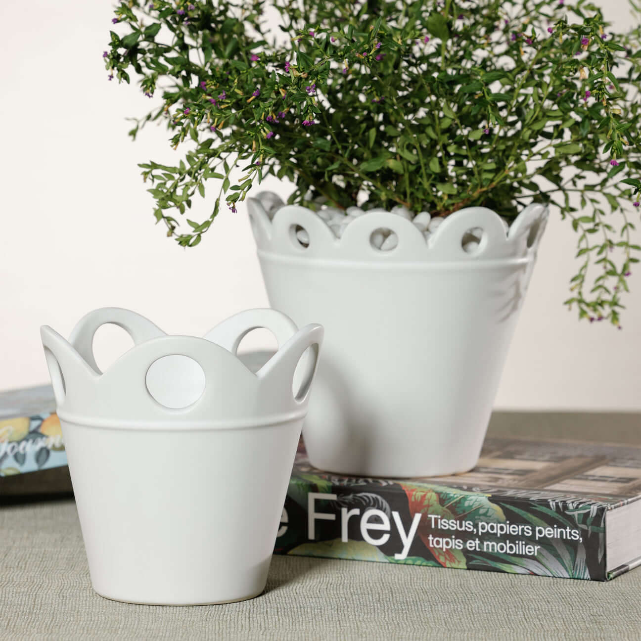 Petal Rim Flower Pot - Pots & Planters by Carlyle Avenue
