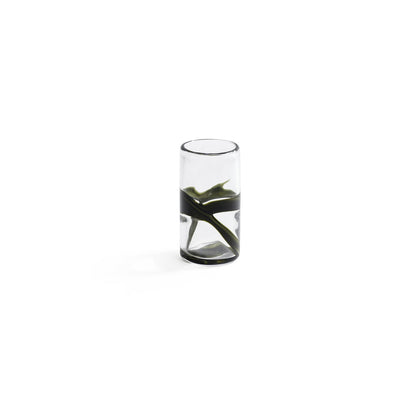 Botánico Glass Vase