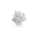 White Resin Coral on Acrylic Base