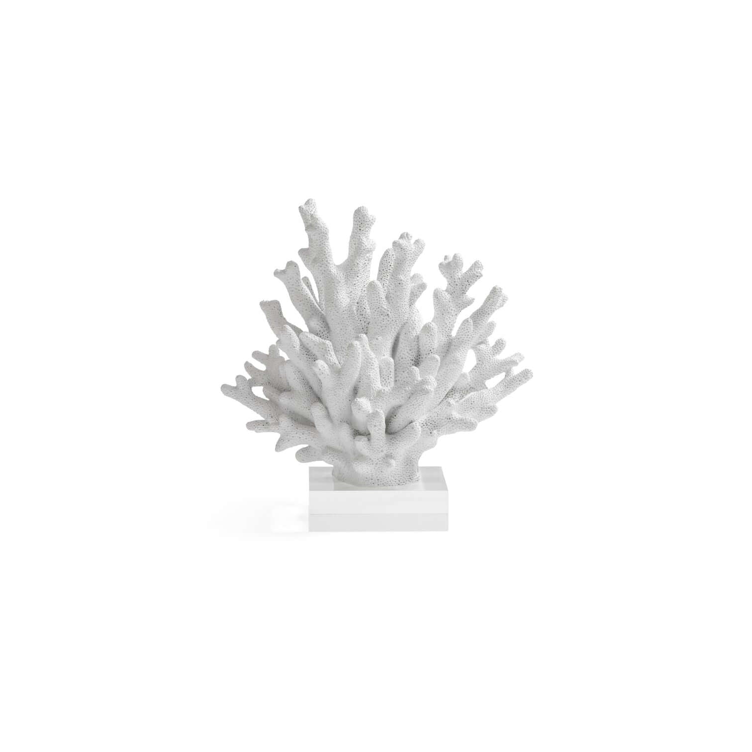 White Resin Coral on Acrylic Base