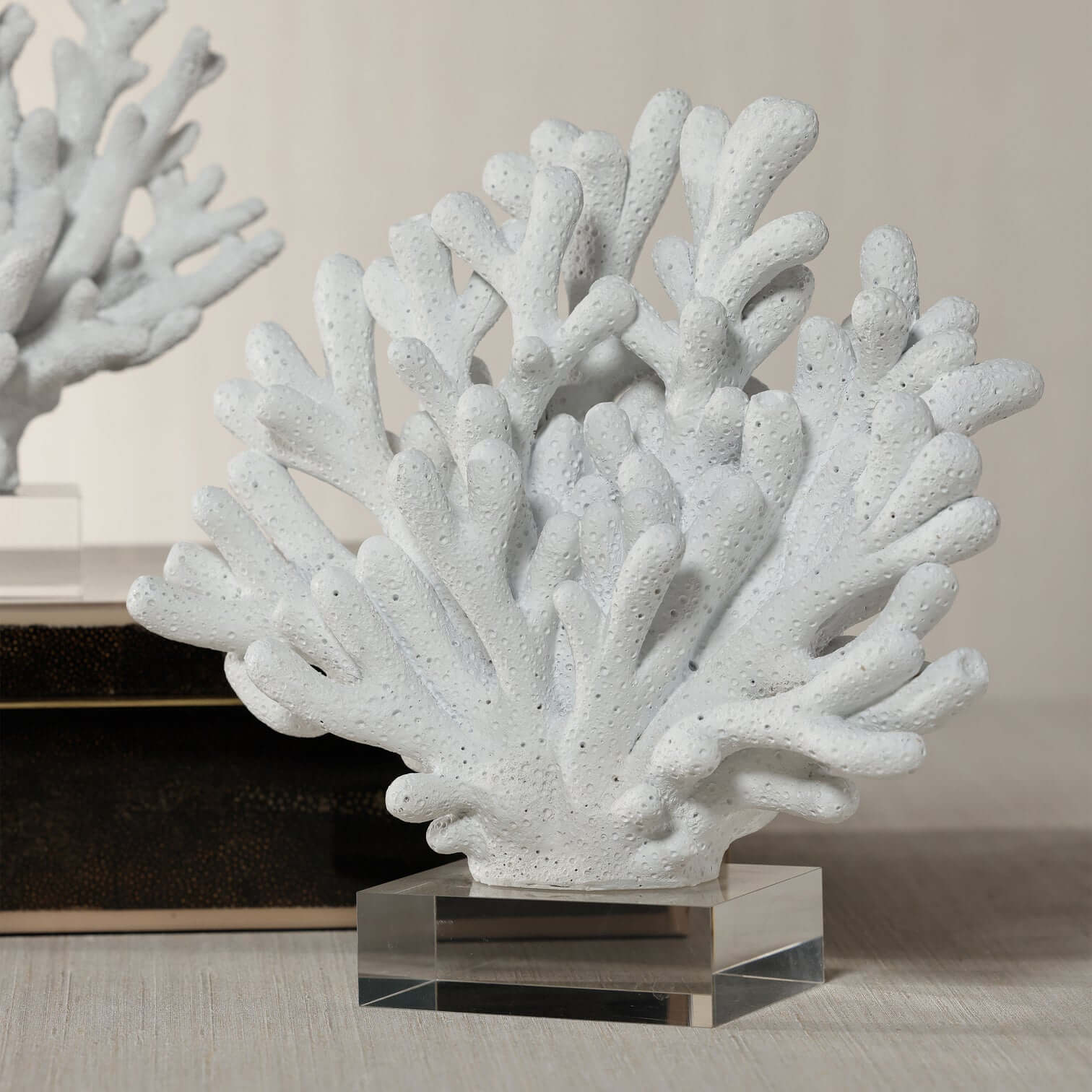 White Resin Coral on Acrylic Base