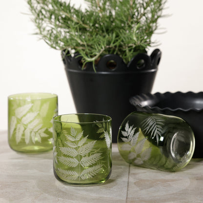 Fern Leaf Rocks Glass - Set of 6