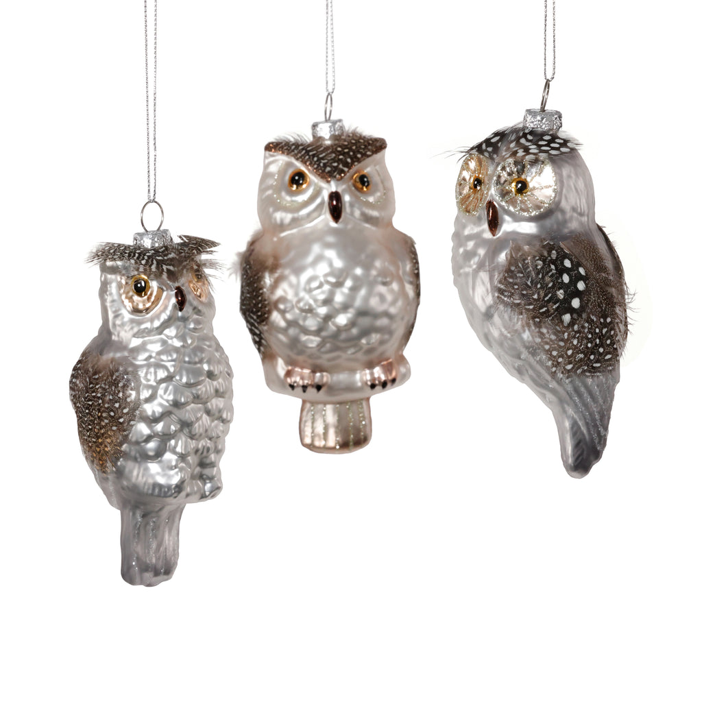 Silver Glass Owl Ornament - 3 Assorted Pieces