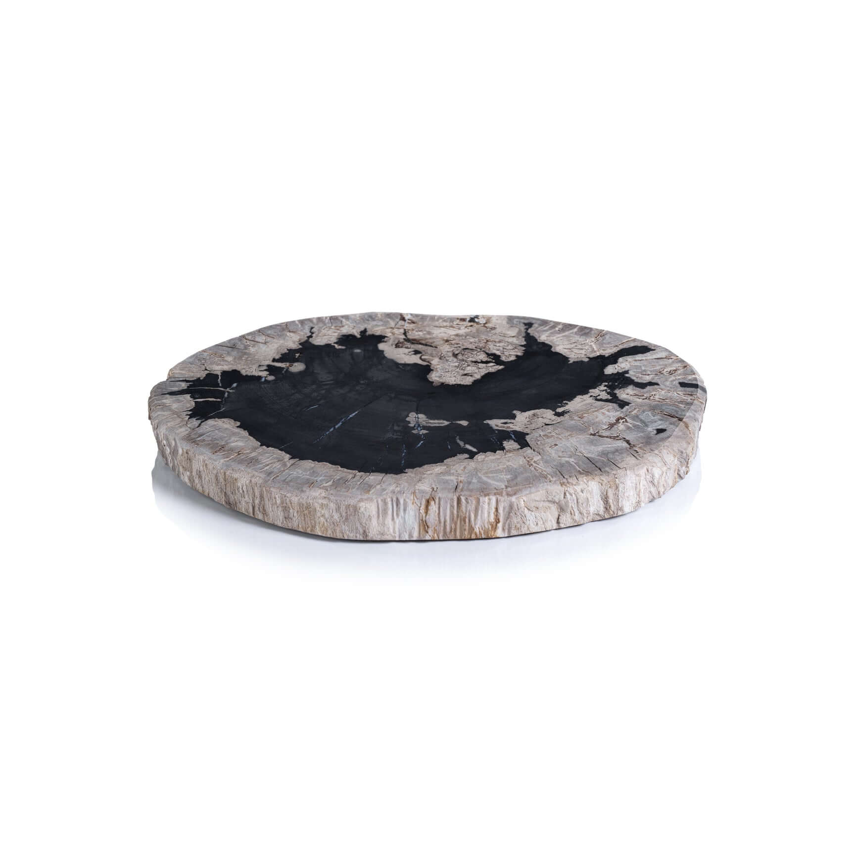 Petrified Wood Cheese Board - Organic Shape - Serveware by Carlyle Avenue
