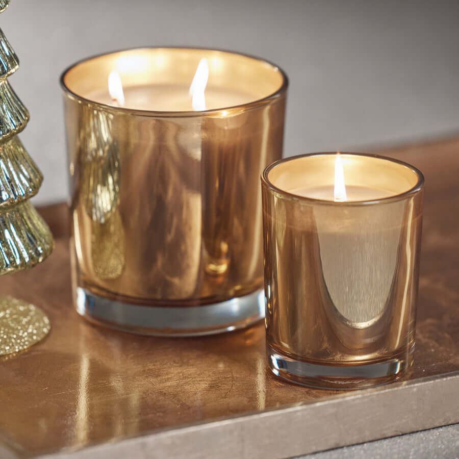 Signature Apothecary Guild Boxed Candle Jar - Siberian Fir - Candles by Carlyle Avenue