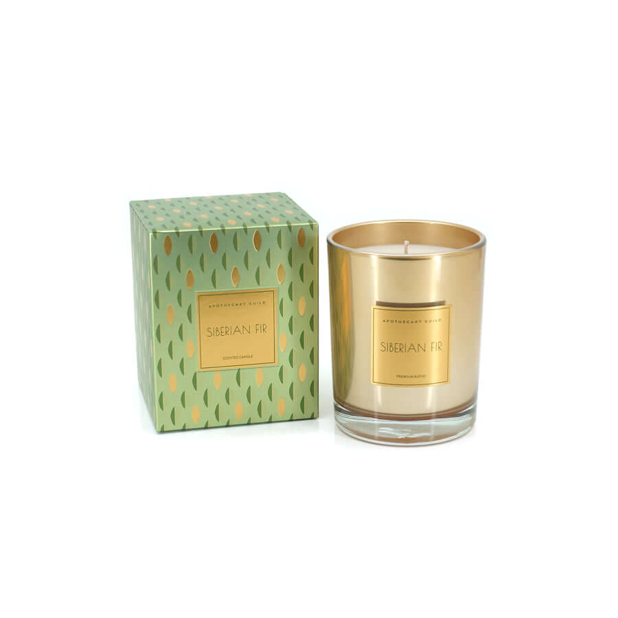Signature Apothecary Guild Boxed Candle Jar - Siberian Fir - Candles by Carlyle Avenue