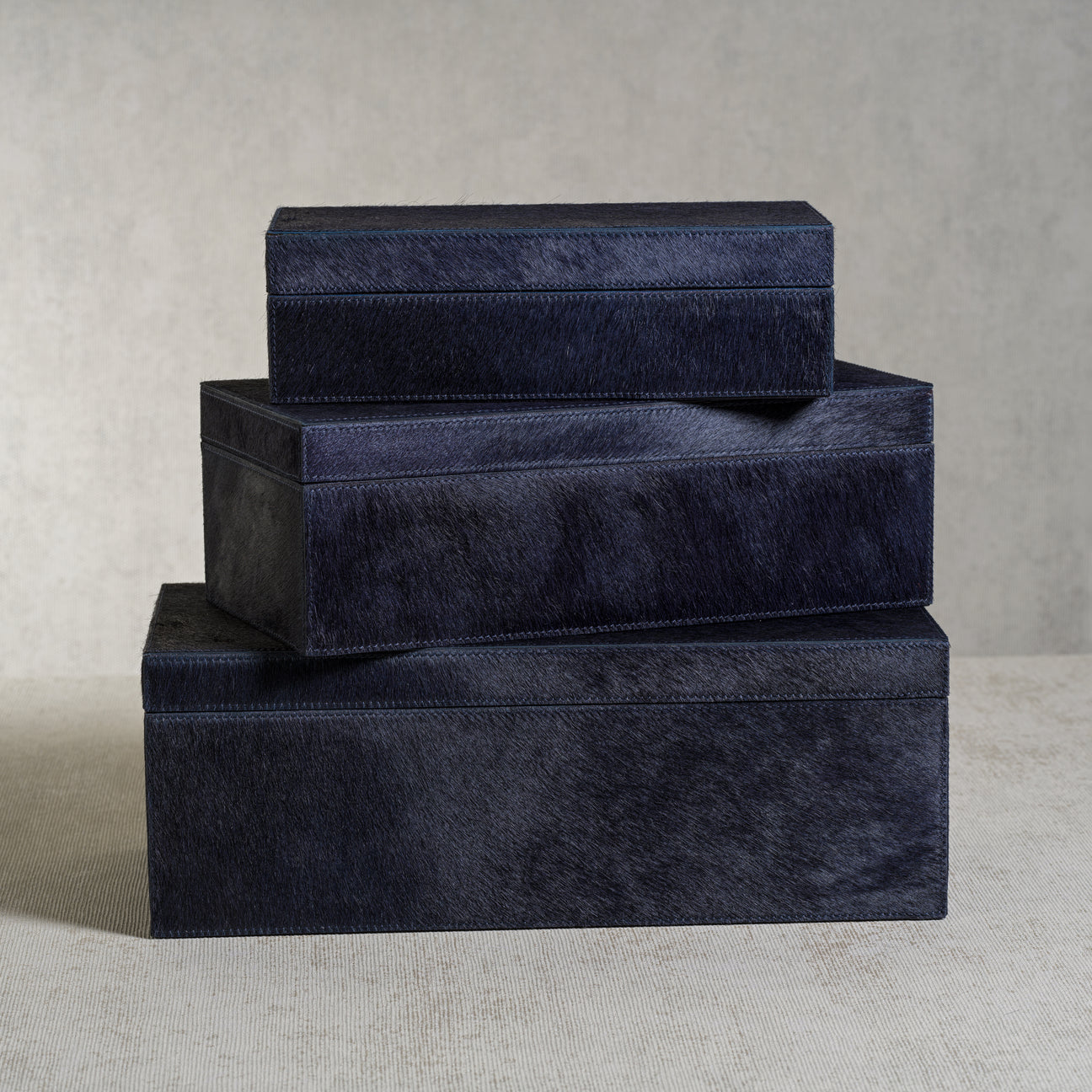 Corviglia Hair-On Hide Leather Box - Navy