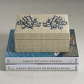 Coral Lagoon Natural Fiber Raffia Box