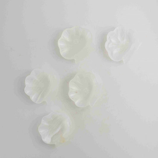 Onyx Shell Trinket Dish