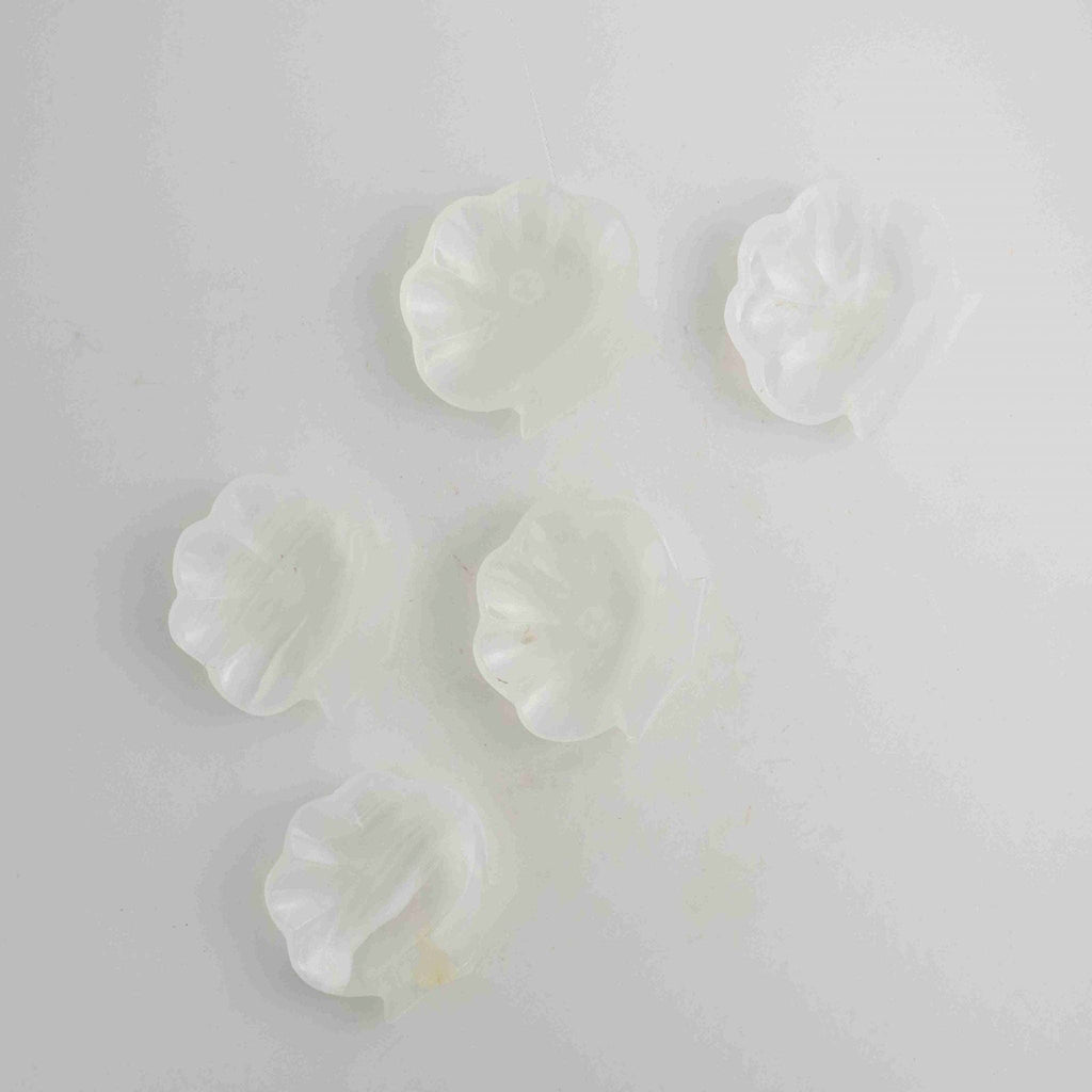 Onyx Shell Trinket Dish