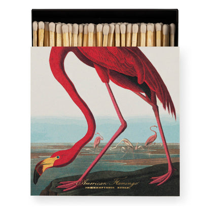 American Flamingo  | Square - Safety Matches