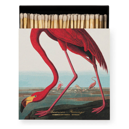 American Flamingo  | Square - Safety Matches