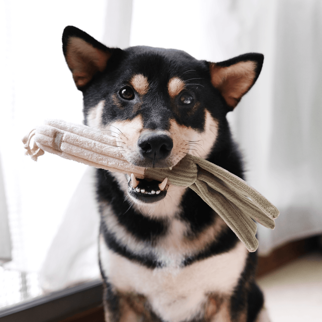 CORN + LEEK SET//ENRICHMENT DOG TOY