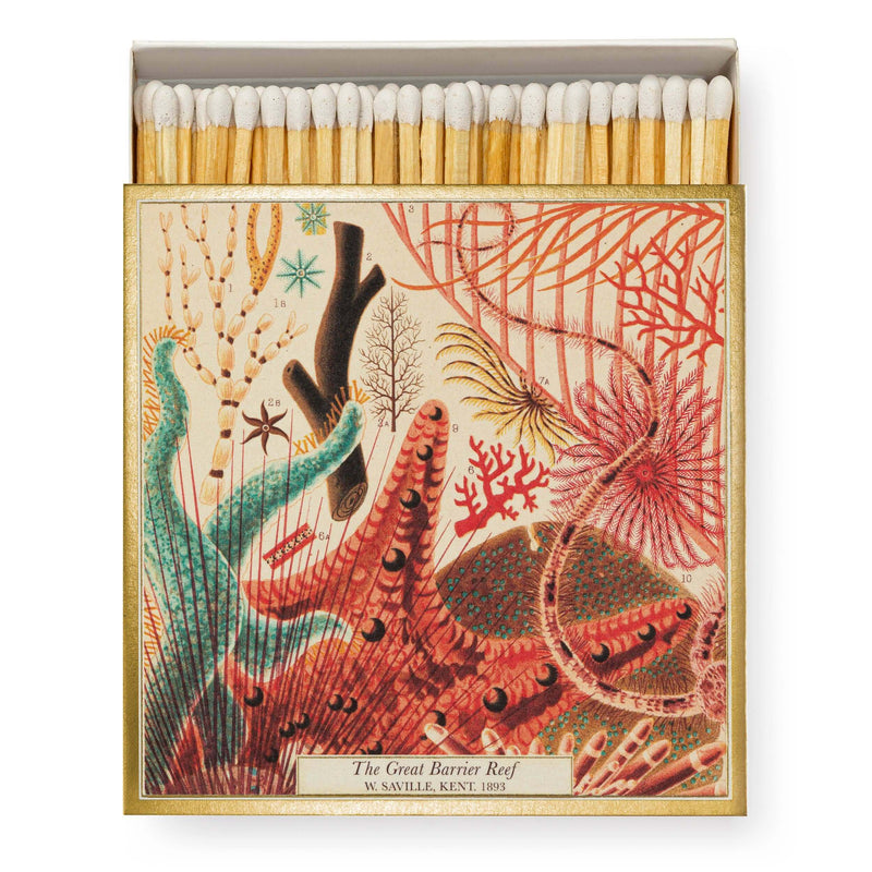 Great Barrier Reef | Square - Safety Matches with a colorful aquatic design featuring coral and marine life.