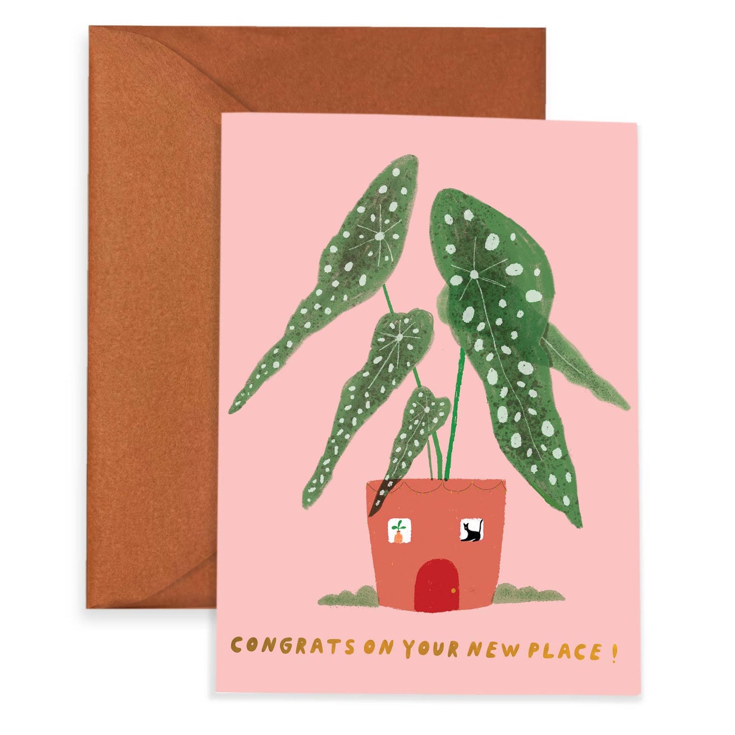 CASITA BEGONIA - Housewarming Card