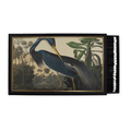 Louisiana Heron | Giant Safety Matches - Matches by Carlyle Avenue