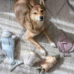 OYSTER POP//ENRICHMENT DOG TOY