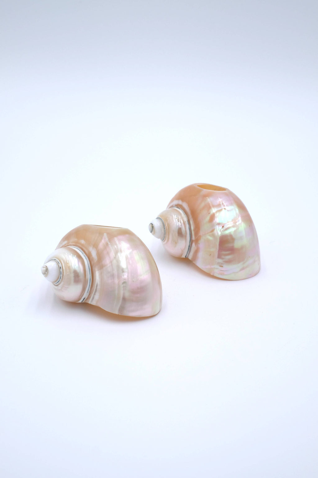Seashell Napkin Rings, Set of 4 - Napkin Rings by Carlyle Avenue