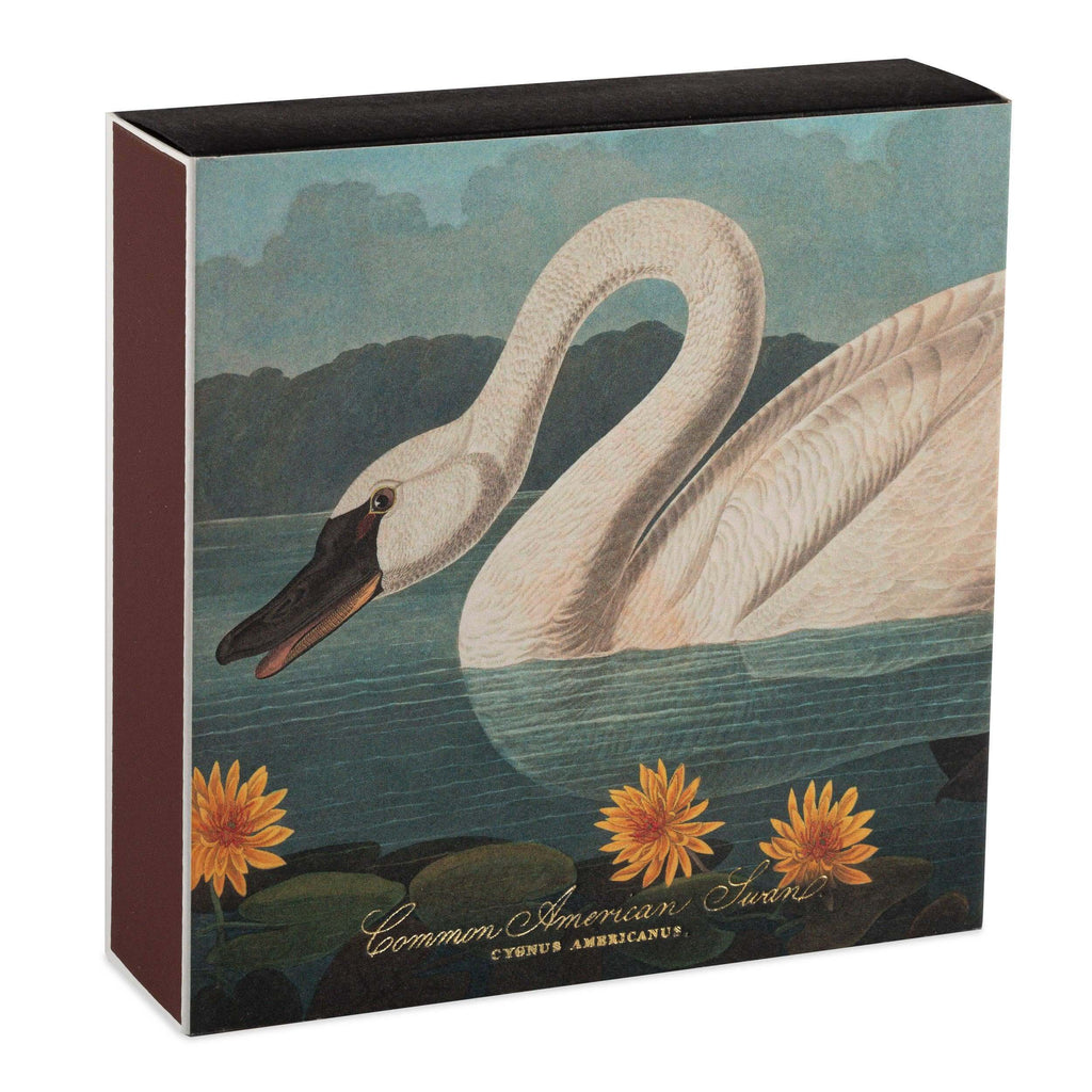 The Common American Swan  | Square - Safety Matches