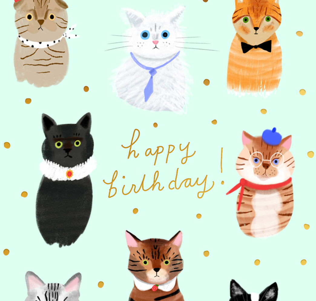 PARTY CATS  - Birthday Card