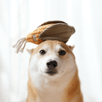 CORN + LEEK SET//ENRICHMENT DOG TOY