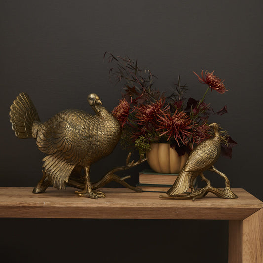 Merriam Turkey Collection